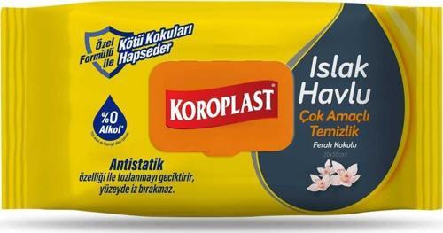 Çok amaçlı Islak Havlu 100 lü