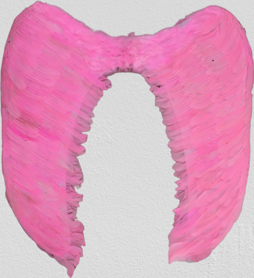 Mega Boy Pembe Renk Tüylü Melek Kanadı 100x85 cm