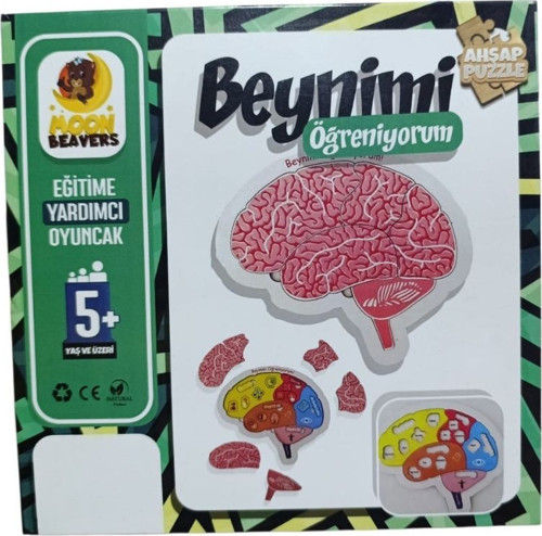 Beynimi Öğreniyorum