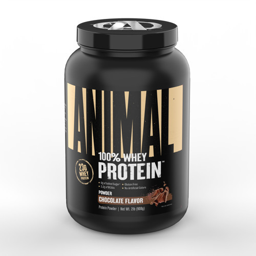 Animal, 100% Whey Protein 908 gr Çikolata Aromalı