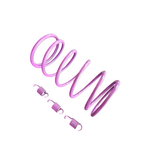 Voge sr1 125 cc Motosiklet Arka Varyatör Performans Yayı + Balata Yayı