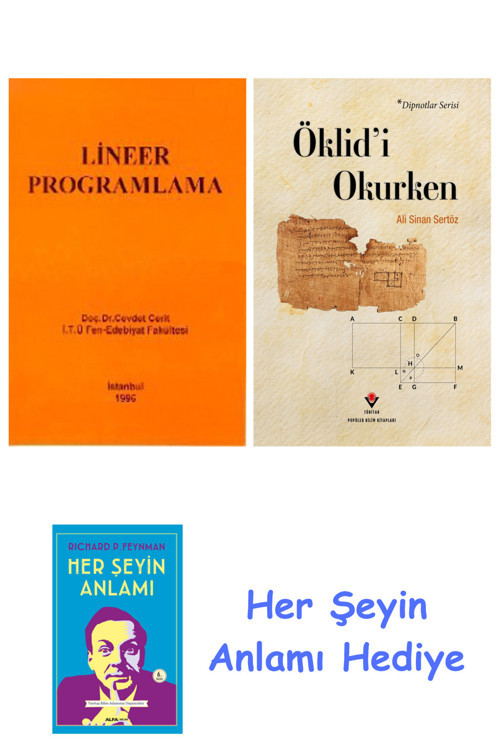 Lineer Programlama + Öklid'İ Okurken + Her Şeyin Anlamı