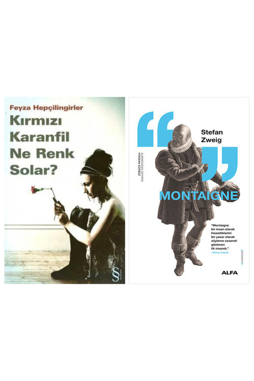 Kırmızı Karanfil Ne Renk Solar? + Montaigne