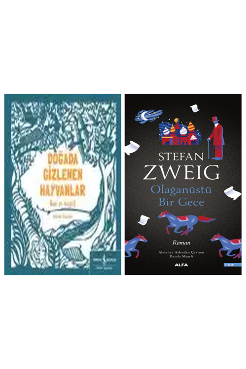 Doğada Gizlenen Hayvanlar – Bul Ve Keşfet + Olağanüstü Bir Gece