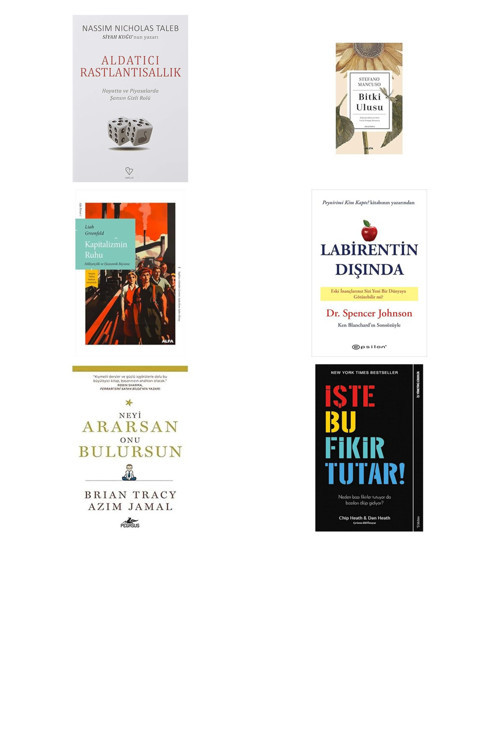 Aldatıcı Rastlantı: Hayatta Ve Piyasalarda Şansın Gizli Rolü... +5 Ekonomi Kitabı