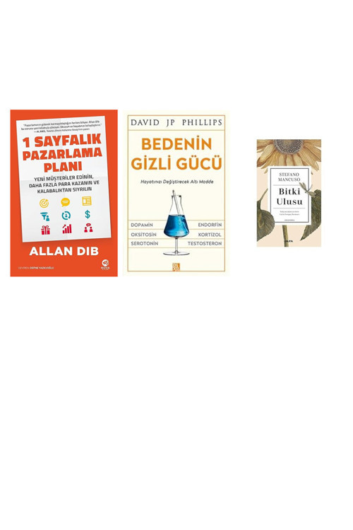 1 Sayfalık Pazarlama Planı: Yeni Müşteriler Edinin, Daha Faz... +2 Ekonomi Kitabı