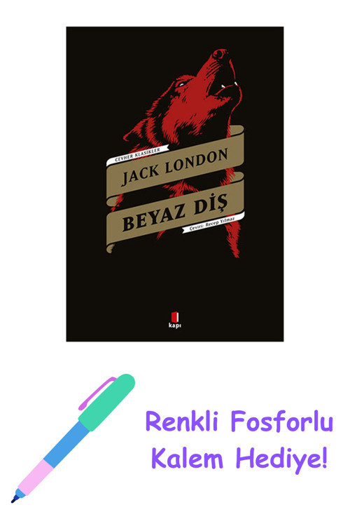 Beyaz Diş + Yapışkanlı Not Kağıdı