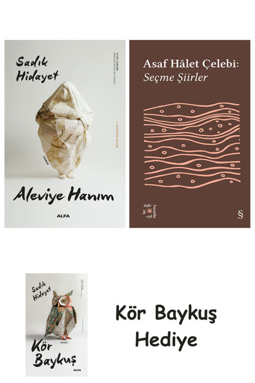Aleviye Hanım + Everest Açıkhava 35 - Seçme Şiirler + Kör Baykuş