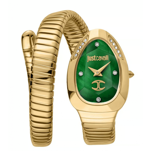 JUST CAVALLI JC1L229M0035 KADIN KOL SAATİ