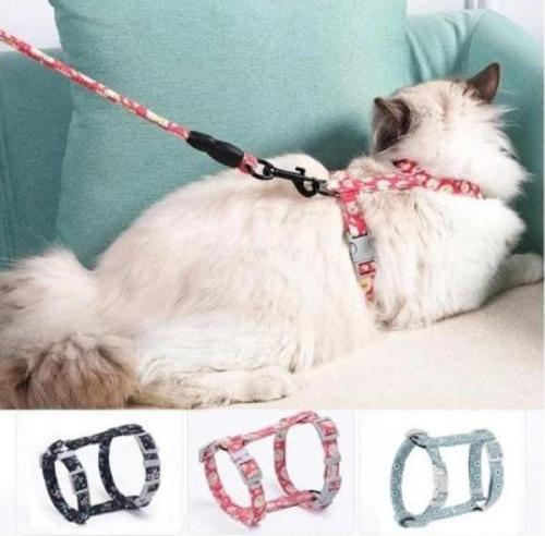 Kedi Gezdirme Göğüs Tasması