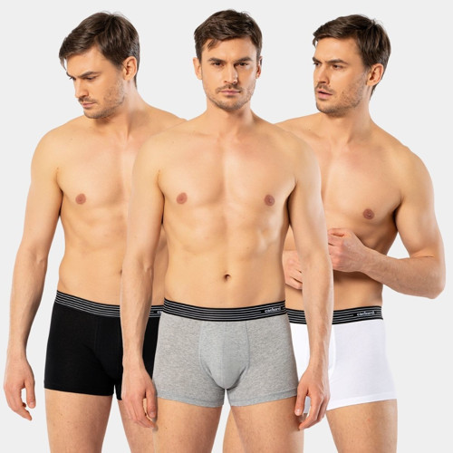 Erkek 3'lü Boxer 1320/Beyaz-Siyah-Gri