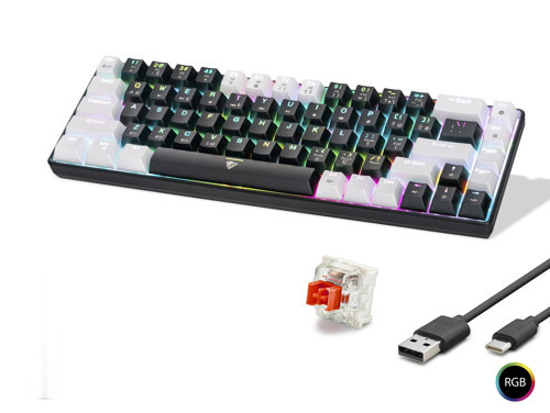 Gaming Mekanik Klavye Tri Mod Rgb Red Switch - Siyah Beyaz MF1703B