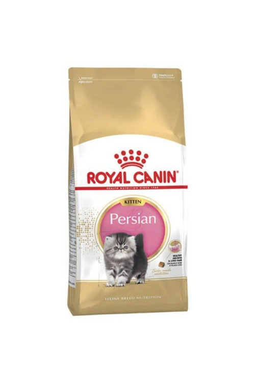 Persian Kitten Yavru Iran Kedisi Maması 2 Kg