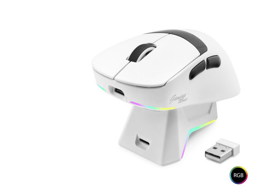 Kablosuz Rgb Mouse Şarj Standlı - Beyaz MF1216W