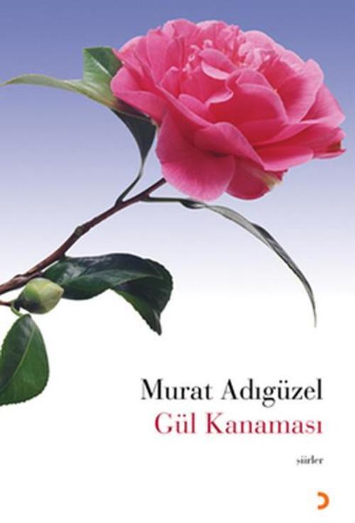Cinius Yayınevi Gül Kanaması