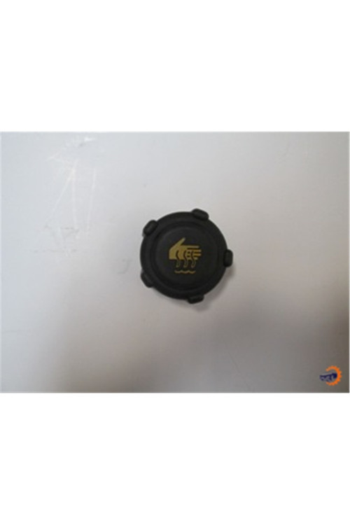 Renault Megane- Iıı- Hb- 14/15 Radyatör Yedek Su Deposu Kapağı Siyah 8200048024 (1448-4778)