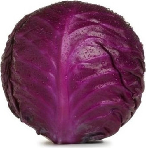 Kırmızı Lahana Tohumu + Çimlendirme Torfu