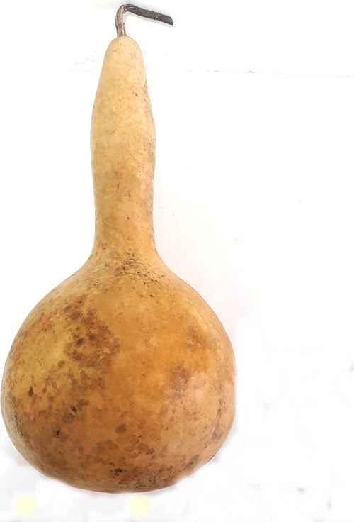 Kuş Evi Su Kabağı Tohumu 5'Li