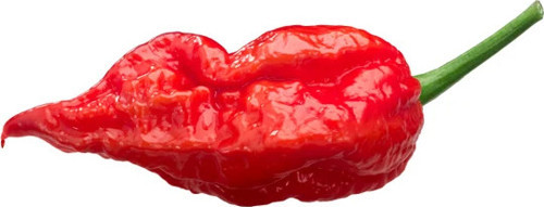 Murattohumculuk Dünyanın En Acı Biber Tohumu Ekim Seti (Carolina Reaper)