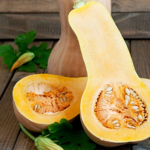 Tacirdepoticaret Özel Waltham Butternut Balkabağı Tohumu -5 Adet