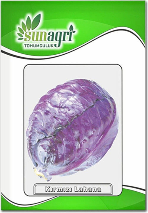 Sunagri Kırmızı Lahana Tohumu Yüksek Verim Yerli Tohum