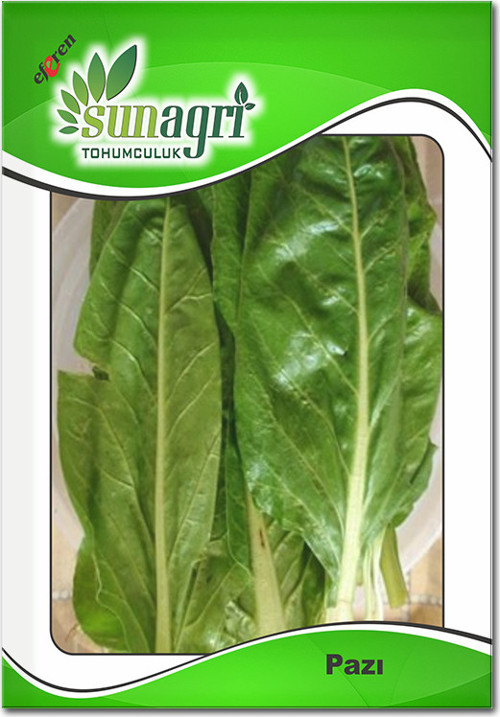 Pazı Tohumu