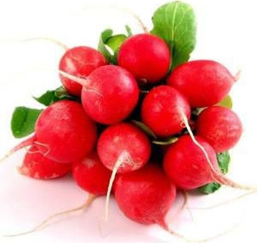 Yerli Kırmızı Fındık Turp Tohumu 100 Adet Tohum