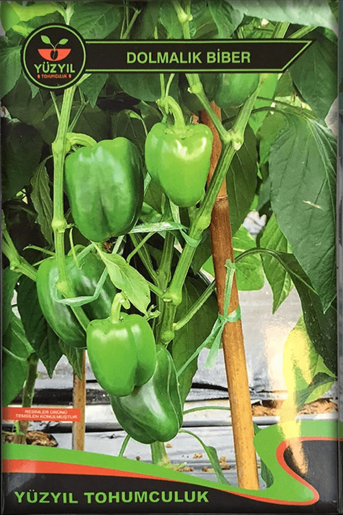 Dolmalık Biber Tohumu