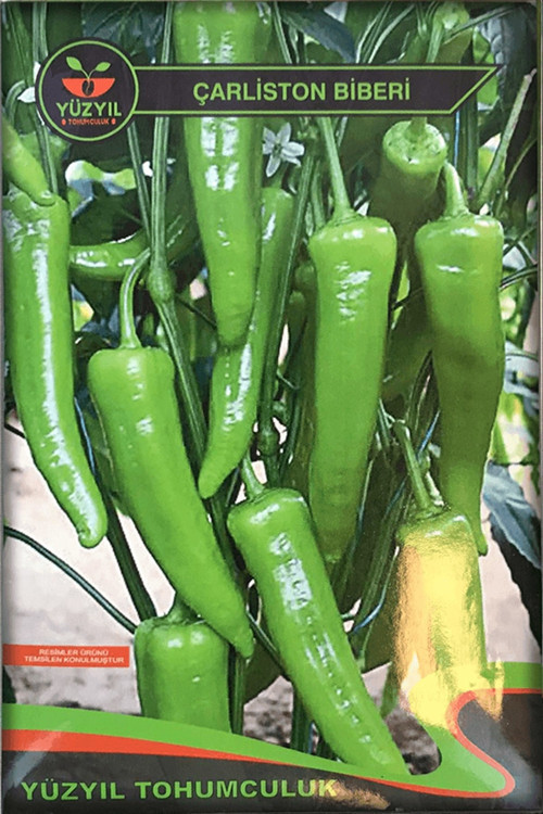 Çarliston Biber Tohumu