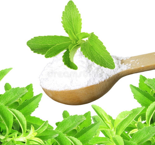 Murattohum Stevia Tohumu Şeker Otu Tohumu