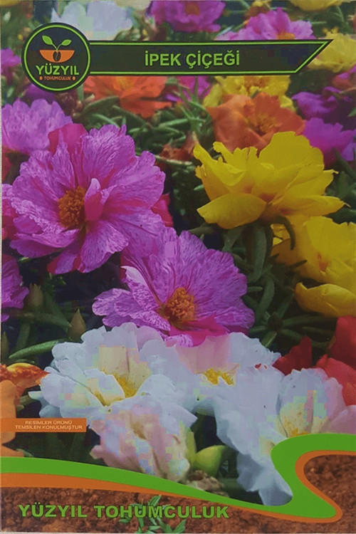 - Ipek Çiçeği Kedi Tırnağı Tohumu