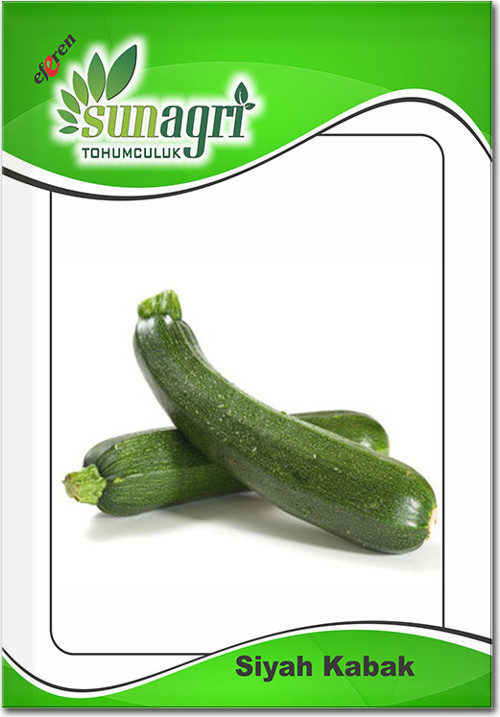 Siyah Kabak Tohumu