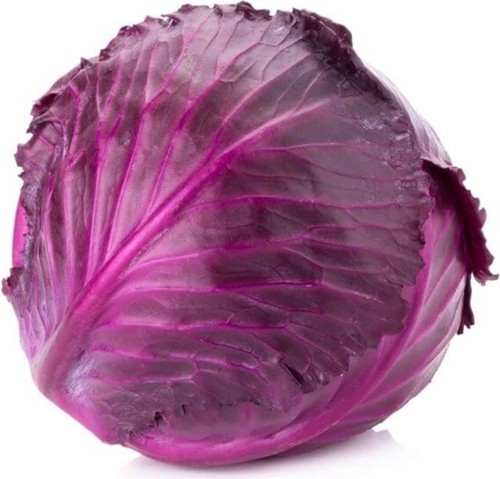 Kırmızı Lahana Tohumu