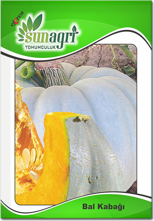 Bal Kabağı Tohumu