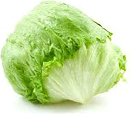 Erdem Garden Ithal Göbek Marul (Iceberg) Tohum