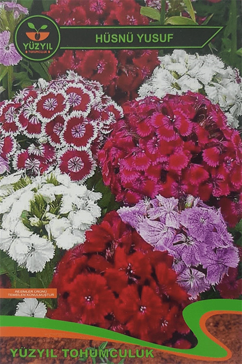 Hüsnü Yusuf Çiçeği Tohumu