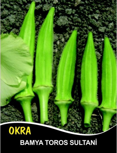 Bamya Tohumu Toros Sultani - 25G (~ 250 Tohum)
