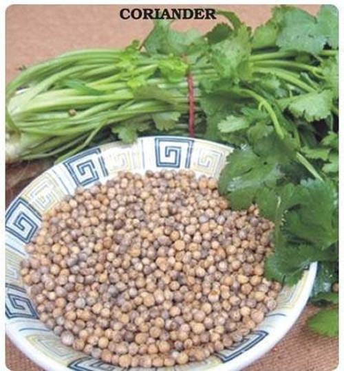 Doğalkişniş Tohumu (Aşotu)50 Tohum