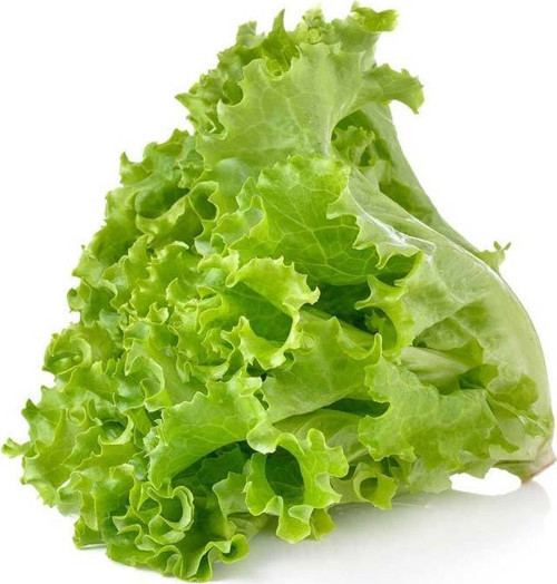 Doğal Waldman'S Green Marul Tohum 100 Tohum