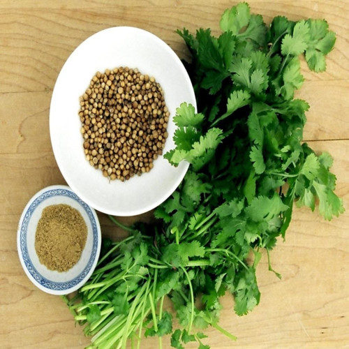 İdeasepet Naturel Kokulu Kişniş Tohumu (55 Tohum)