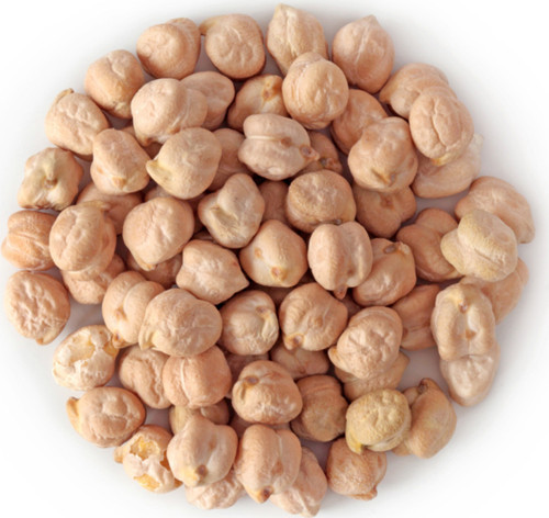 İdeasepet Naturel İri Beyaz Nohut Tohumu (10 Tohum)