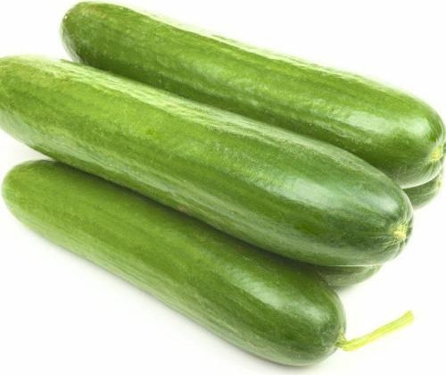 Süper Paket Yerli Çengelköy Hıyar Tohumu Çengelköy Salatalık Tohumu 250 Adet Tohum
