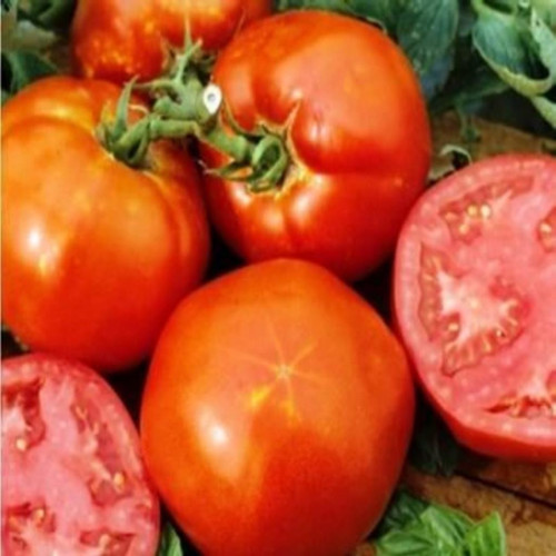 İdeasepet Natural Doğal Homestead Domates Tohumu (20 Tohum)