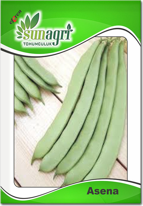 Asena Fasulye Tohumu