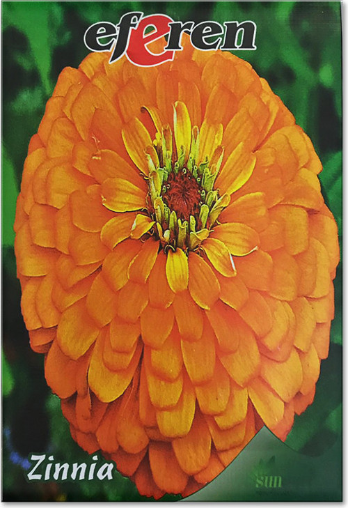 Zinnia Tohumu