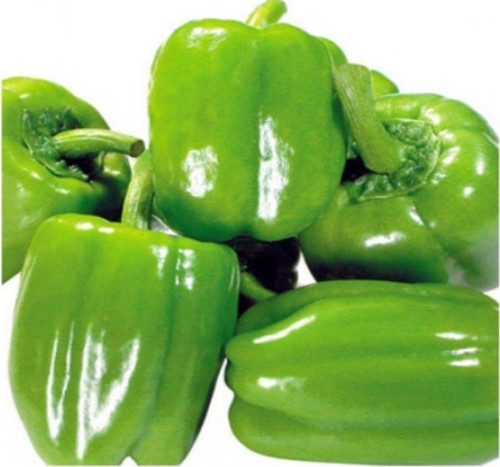 Doğal Kandil Dolmalık Biber Tohum 2 Gr