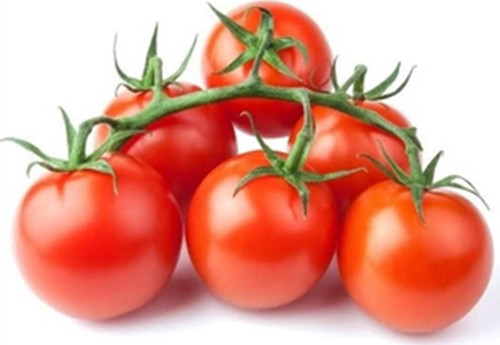 10 Tohum Eko Paket Nadir Ithal Çeri Cherry Domates Saksı Toprak