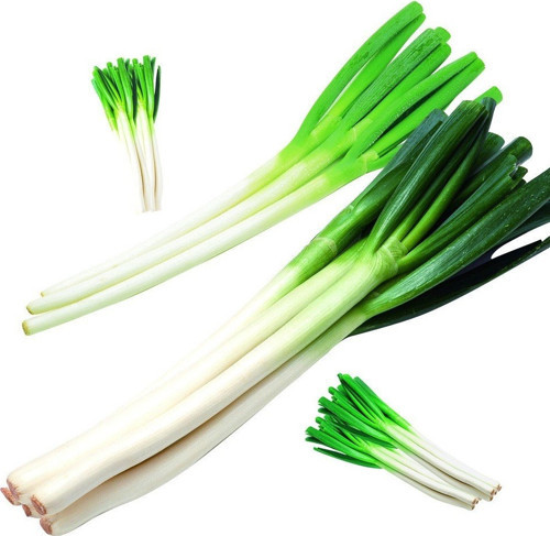 Doğal Yeşil Soğan Tohumu 20 Tohum