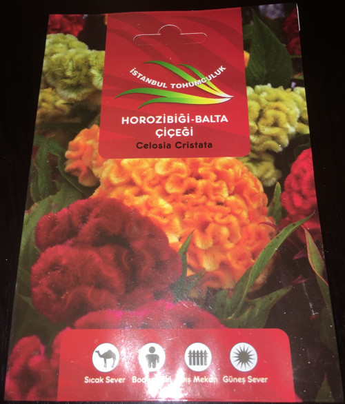 Çiçek Tohumu Horoz İbiği Balta Çiçeği İstanbul Tohumculuk