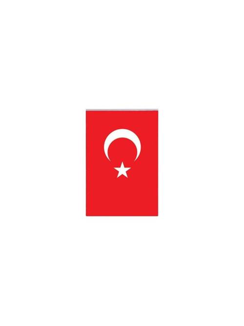 Polyester Bayrak Türk Bayrağı 40X60Cm